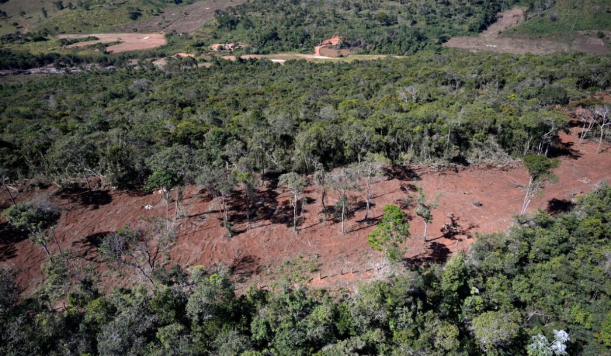 favaro:-objetivo-e-captar-recursos-internacionais-para-recuperacao-de-areas-degradadas