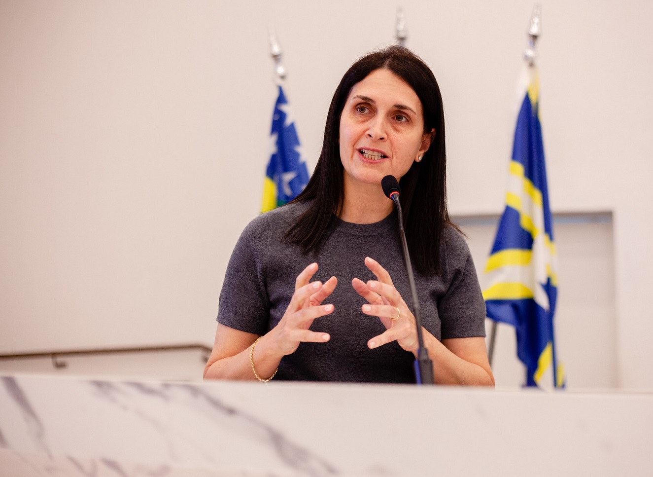 vivian-naves-presta-contas-de-acoes-e-emendas-destinadas-a-anapolis