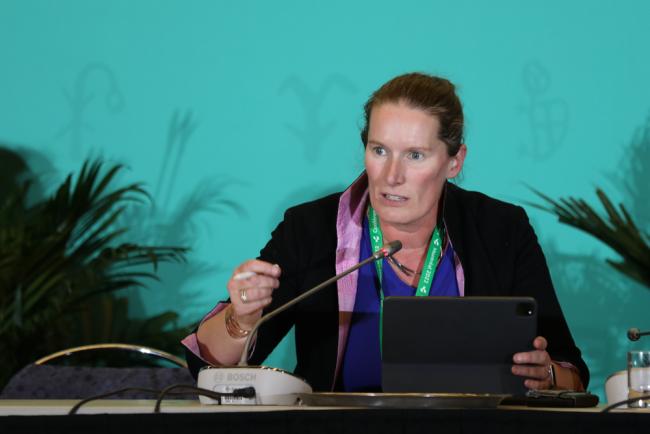 governos-nao-terao-dinheiro-suficiente,-diz-chefe-do-banco-mundial-para-o-clima