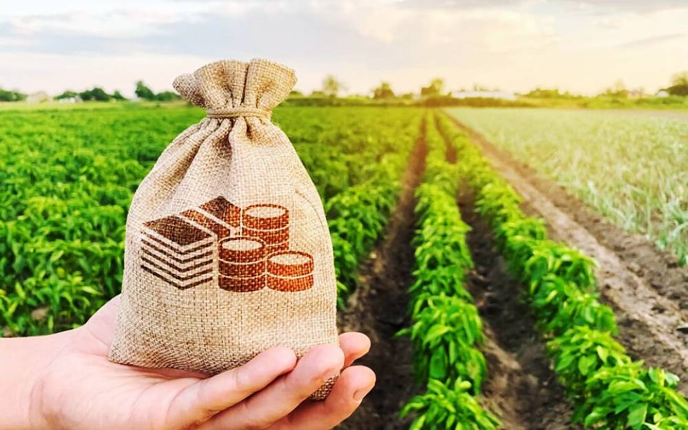 entidades-da-industria-e-do-agro-celebram-fim-da-taxa-de-40%-dos-eua