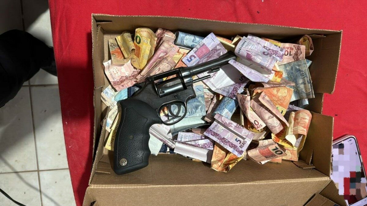 pcgo-cumpre-medidas-judiciais-contra-o-trafico-em-goias,-mg-e-sp