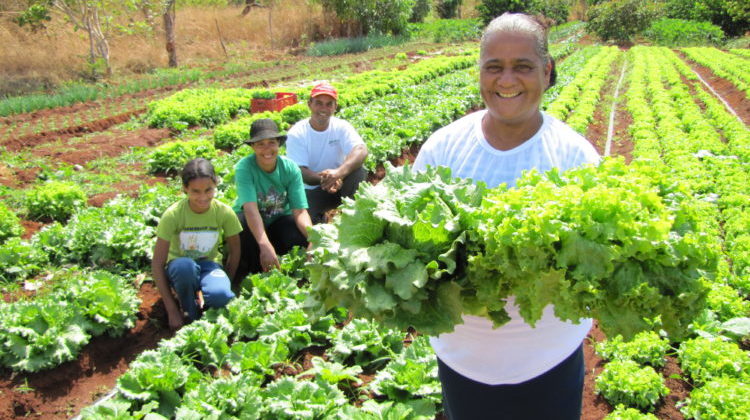 cmn-amplia-socorro-a-produtores-afetados-pelo-clima
