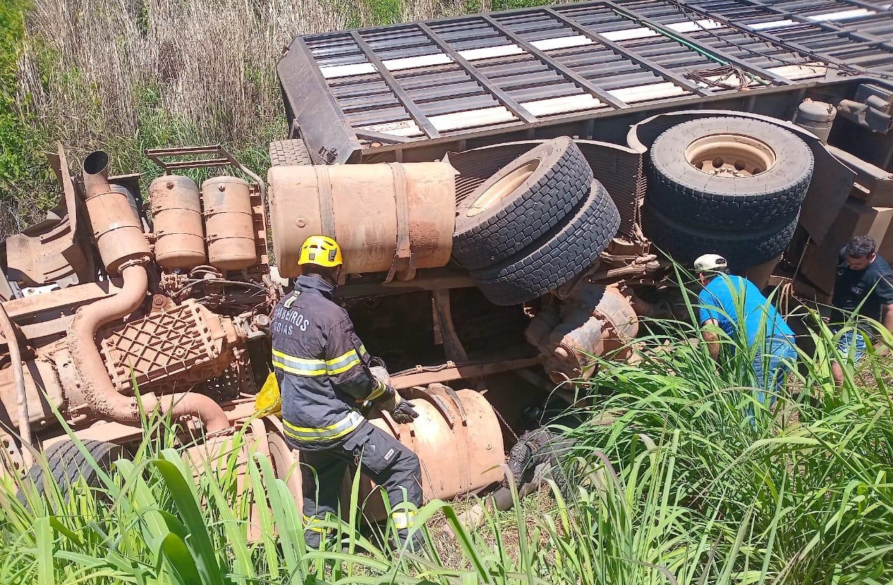 carreta-com-75-bovinos-tomba-na-go-446,-na-zona-rural-de-posse