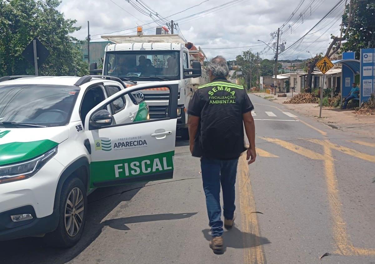 equatorial-tem-caminhoes-apreendidos-por-mutilacao-de-arvores-em-aparecida