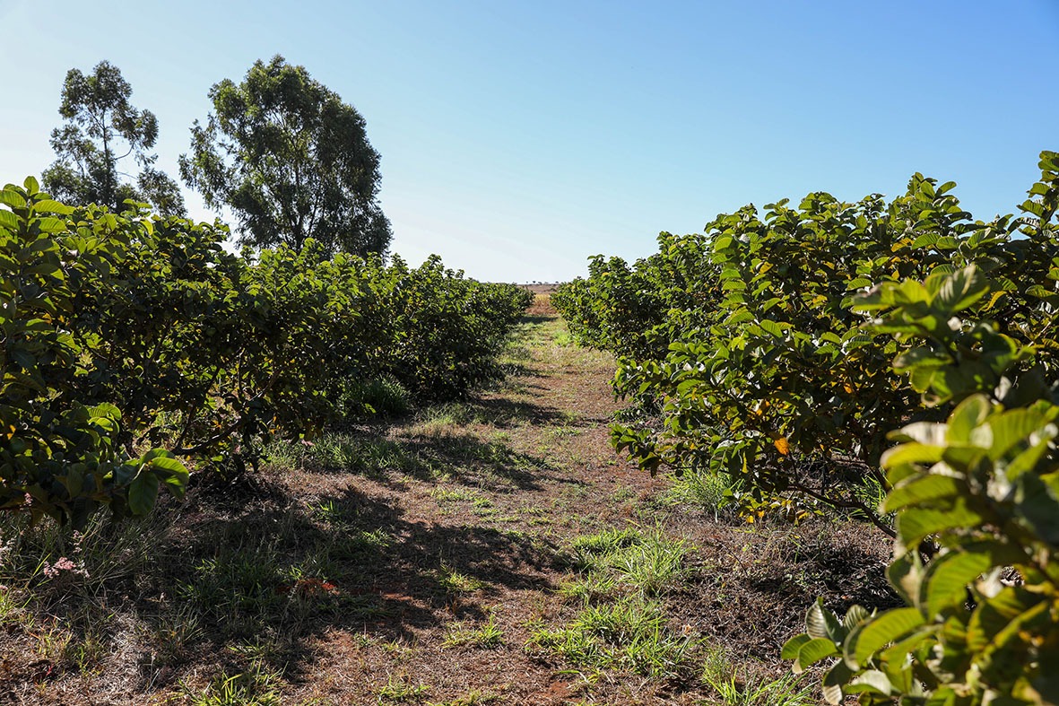 acordo-mercosul-ue-tem-‘amplo-compromisso-de-liberacao-tarifaria’-para-industria-e-agro