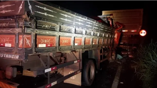 acidente-na-go-219-deixa-4-mortos-entre-guapo-e-aragoiania