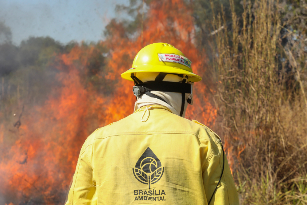 orcamento-para-prevenir-incendios-florestais-e-fiscalizar-ambiente-cai-17%-em-2026