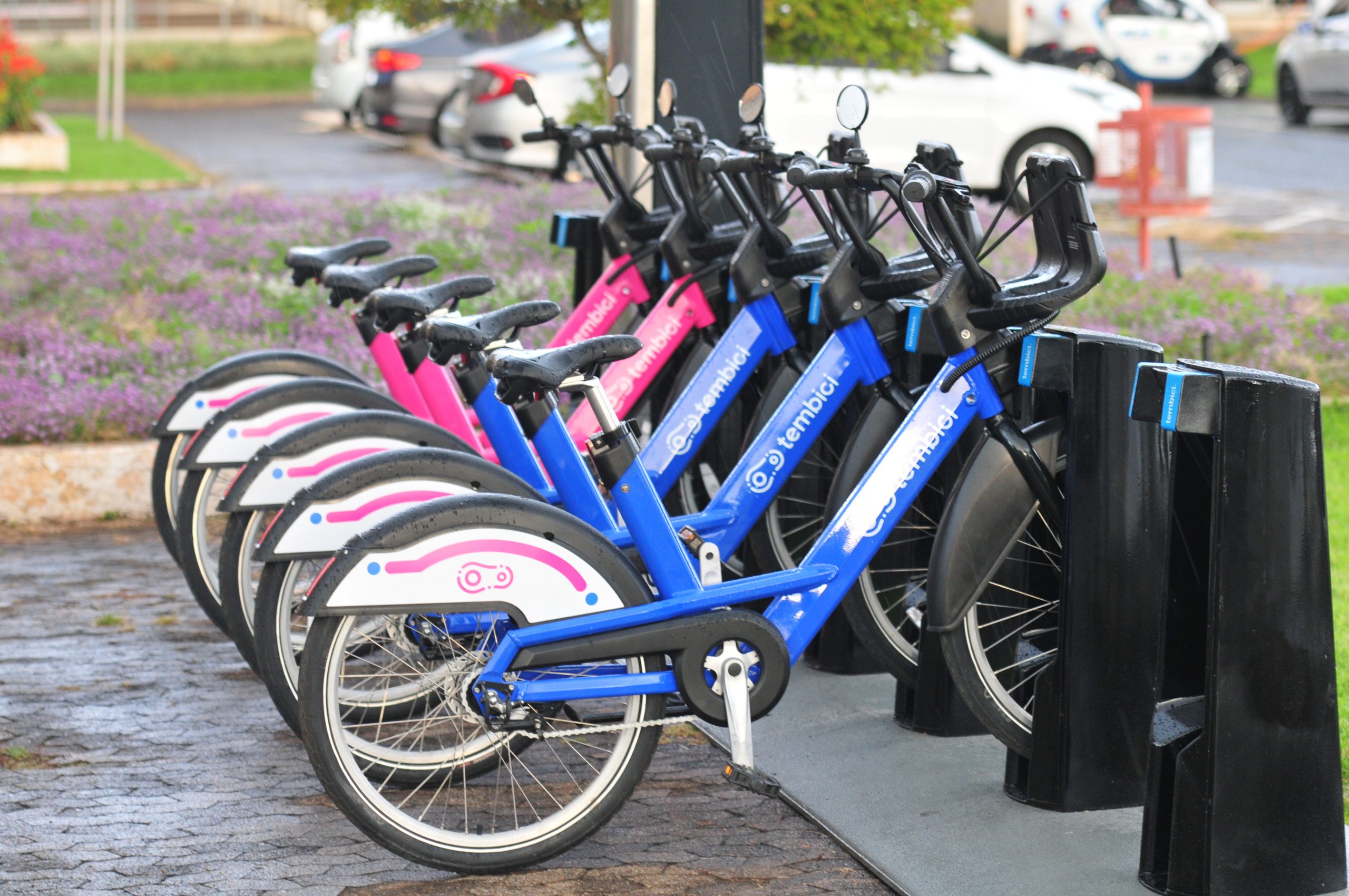 comissao-aprova-projeto-para-suportes-de-bicicletas-em-onibus