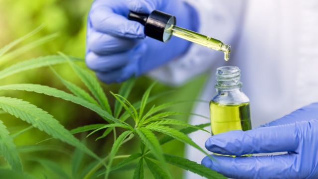 o-que-muda-com-a-nova-regra-da-anvisa-para-o-uso-de-cannabis-medicinal