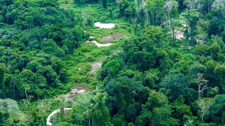 forca-tarefa-contra-coqueluche-soma-mais-de-mil-atendimentos-no-territorio-yanomami