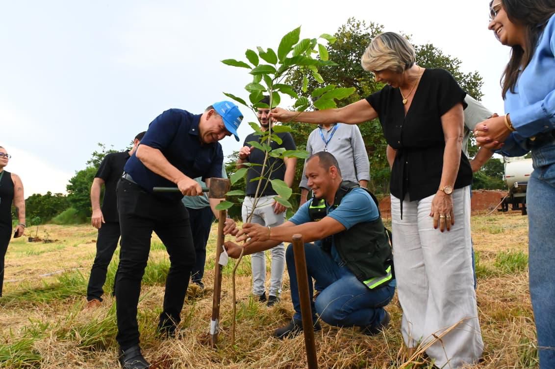 prefeitura-de-goiania-inicia-plantio-de-4-mil-mudas-nativas-do-cerrado
