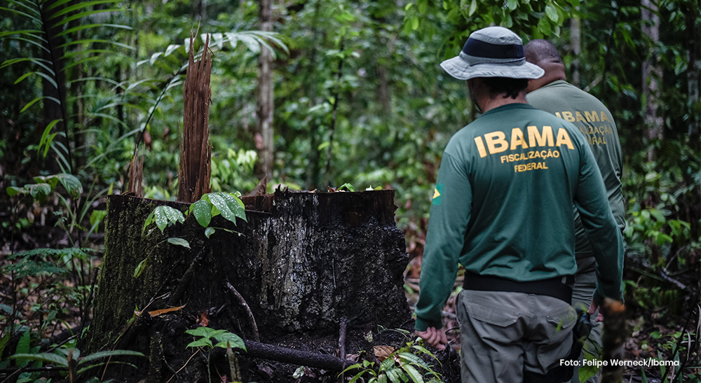 fiscais-do-ibama-sao-vitimas-de-emboscada-no-amazonas-e-se-escondem-na-floresta