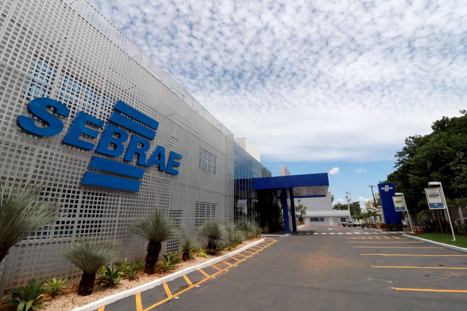 pequenos-negocios-lideram-empregos-em-goias,-aponta-o-sebrae