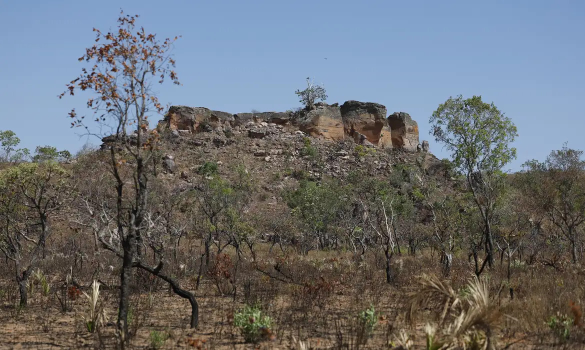 ia-mapeia-terras-agricolas-abandonadas-no-cerrado-para-restauracao