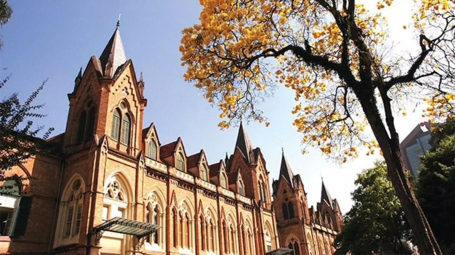 vice-prefeito-no-rn-manobra-para-cursar-medicina-em-sp-sem-renunciar-ao-cargo