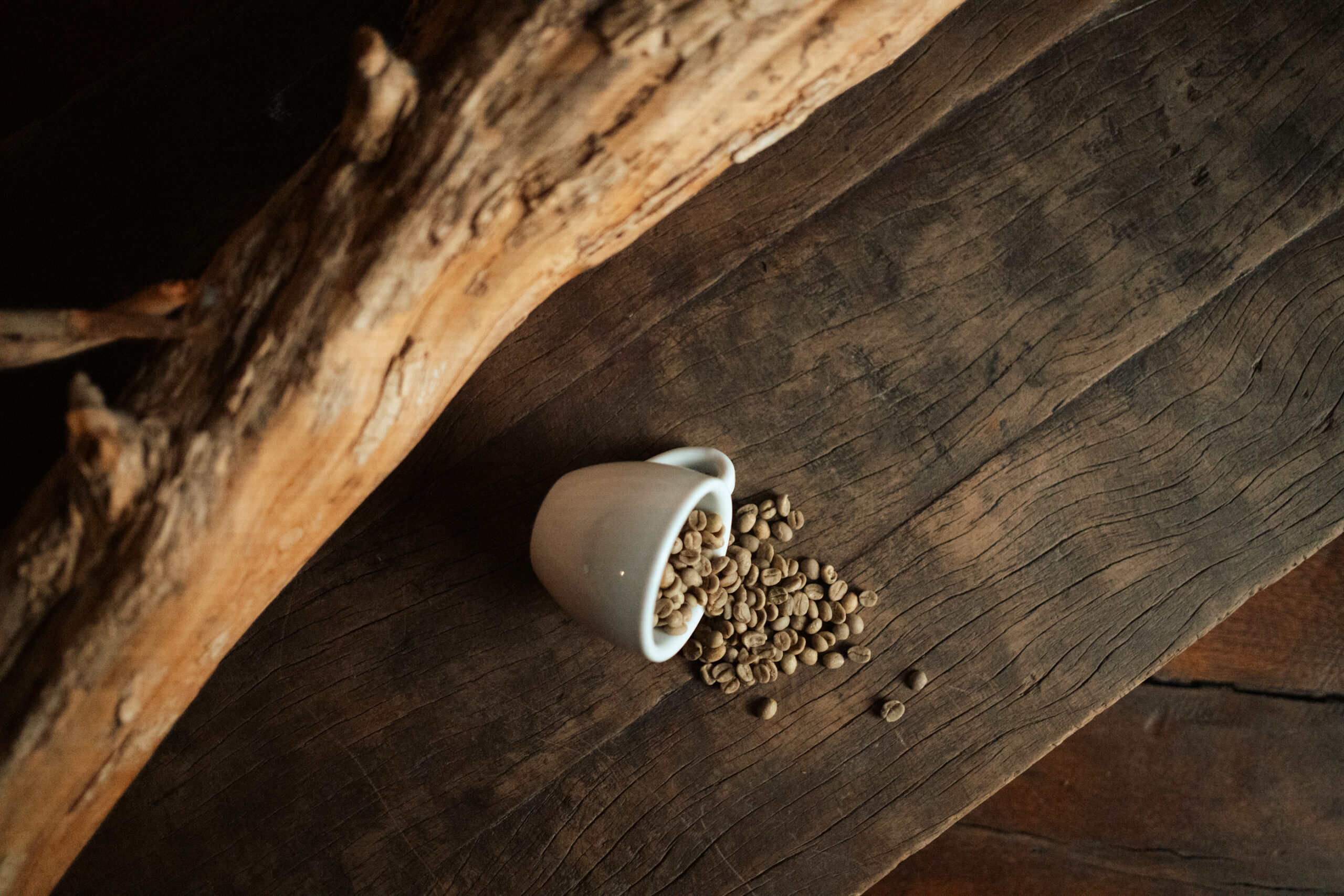 CMN reduz juros para cooperativas no Pronaf e aprova R$ 7,37 bi para café