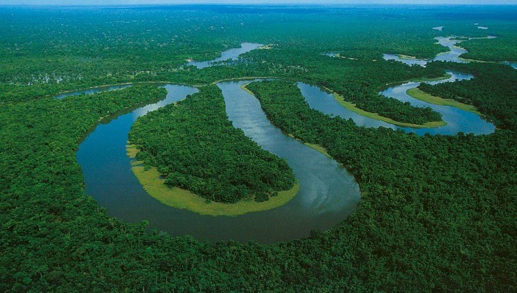 fundo-amazonia-destinara-r$-357-milhoes-a-projetos-de-bioeconomia