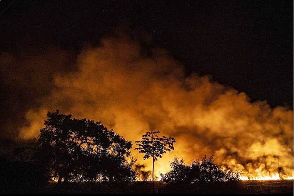 em-marco,-roraima-registra-mais-de-um-terco-de-todas-as-queimadas-do-brasil