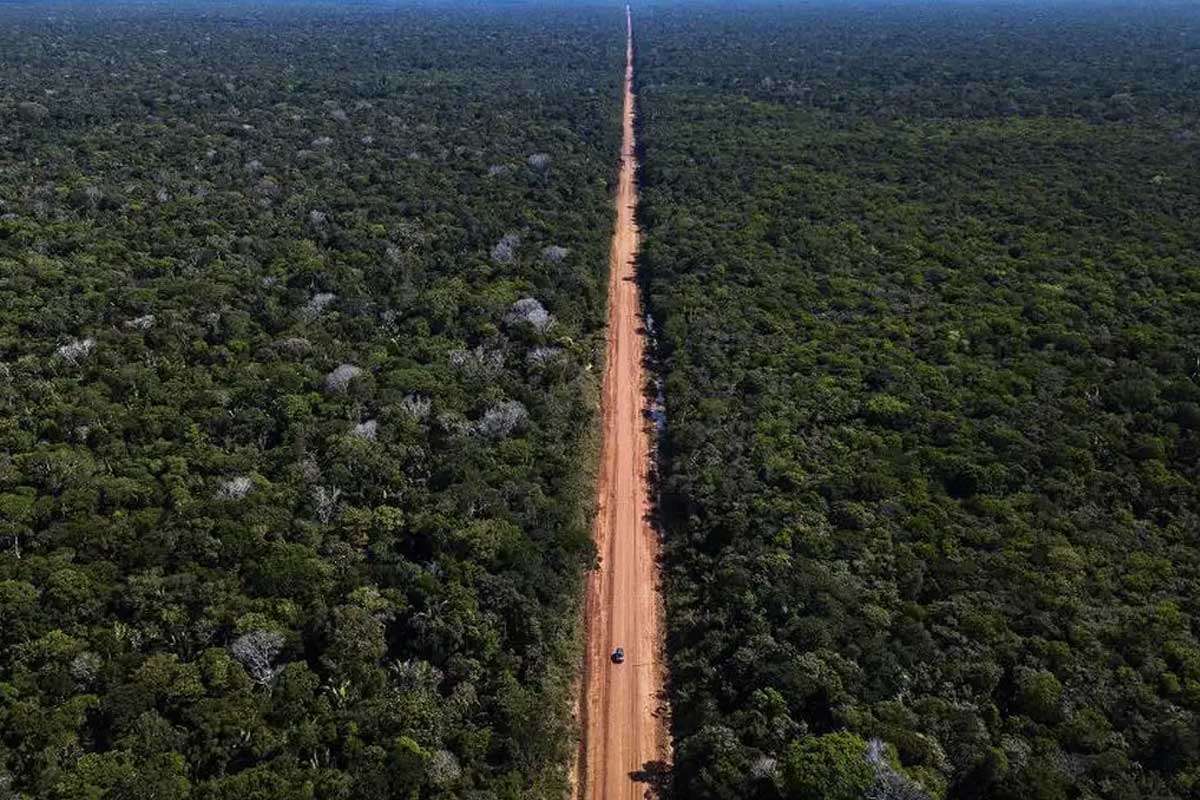 governo-lula-autoriza-obras-da-br-319-na-amazonia-sob-criticas-de-ambientalistas