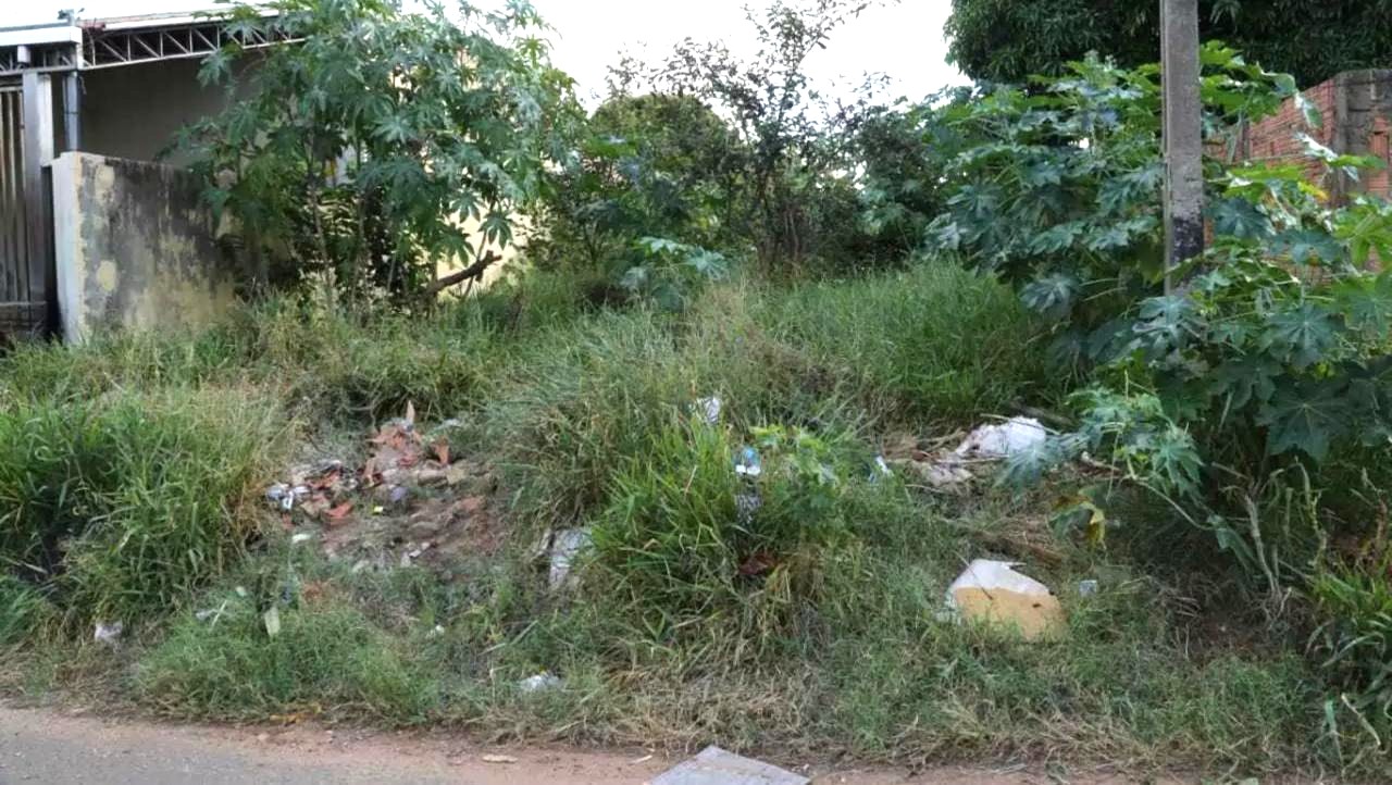 anapolis:-prefeitura-alerta-para-prazo-final-de-limpeza-de-lotes