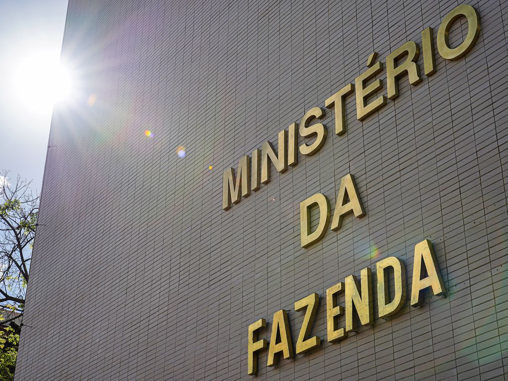 onca-parda-morre-atropelada-por-carro-do-ministerio-da-fazenda-em-brasilia