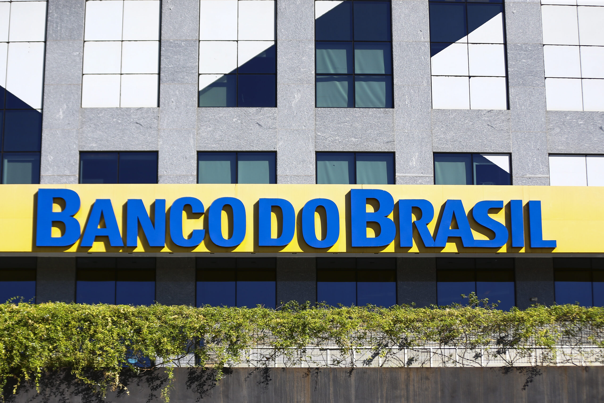 bb-inicia-operacoes-do-novo-desenrola;-mais-de-40-mil-clientes-ja-manifestaram-interesse