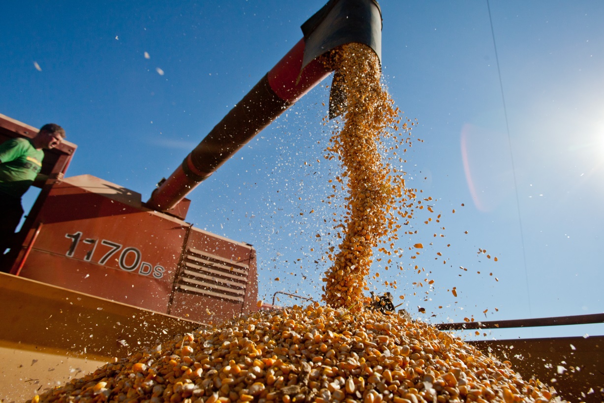 precos-dos-produtos-agropecuarios-sobem-0,97%-em-abril-dentro-do-igp-di,-afirma-fgv