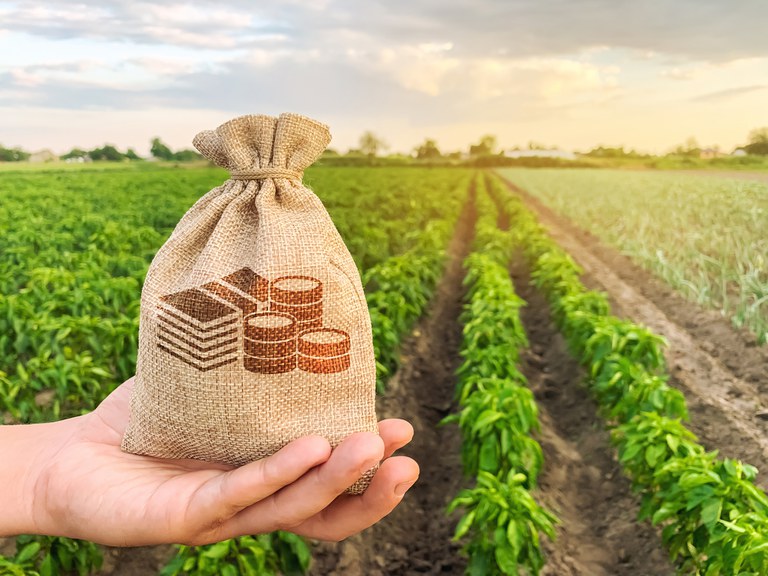 comissao-aprova-uso-de-dados-publicos-em-analise-de-risco-para-credito-rural