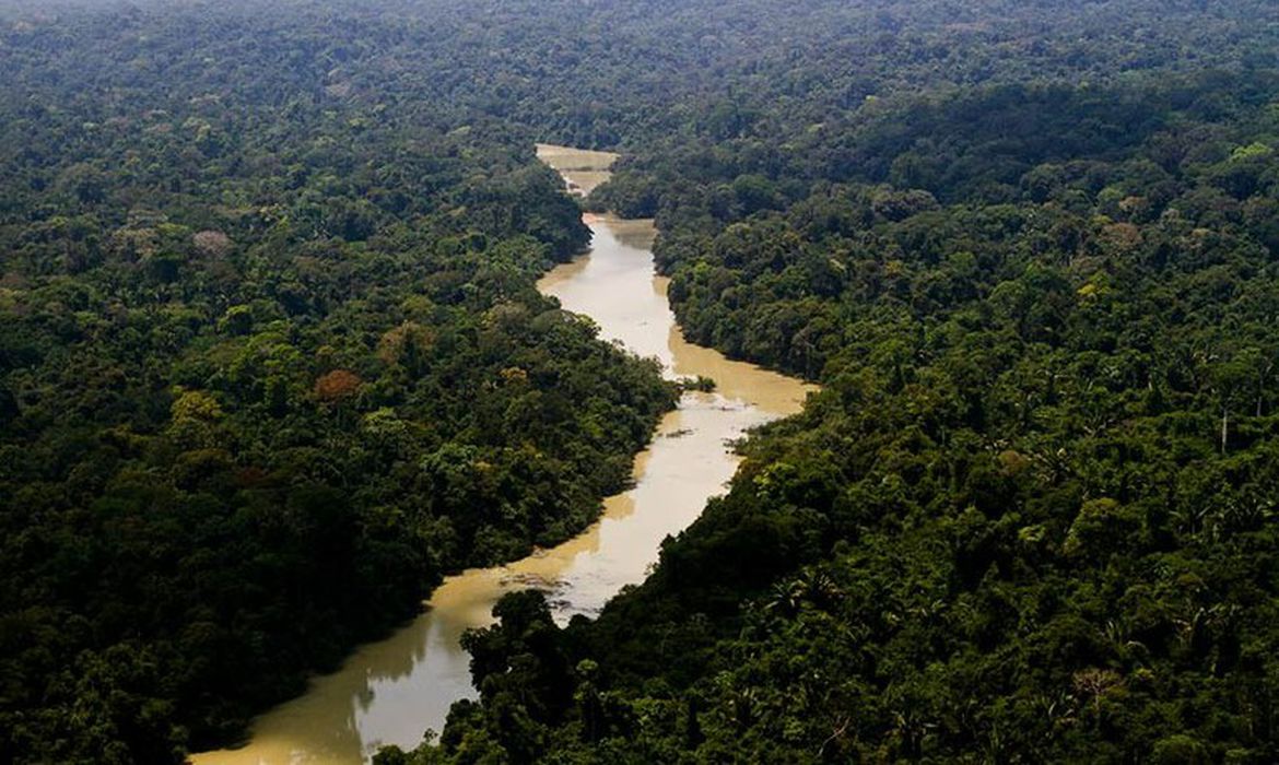 camara-aprova-projeto-de-lei-que-reduz-limites-da-floresta-nacional-do-jamanxim