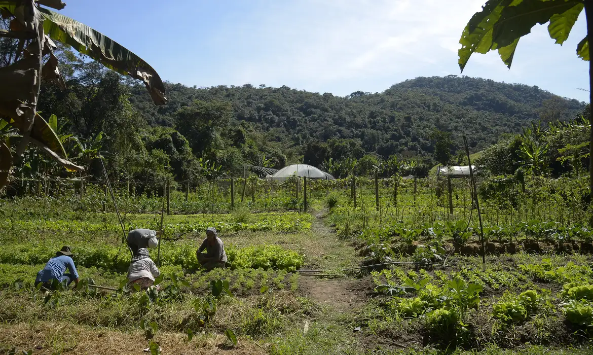 meu-imovel-rural-supera-500-mil-acessos-e-amplia-funcoes