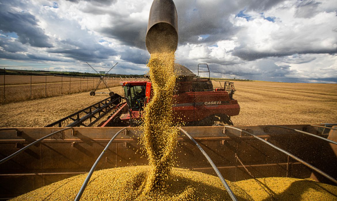 plano-da-china-por-autossuficiencia-alimentar-ameaca-o-agro-brasileiro
