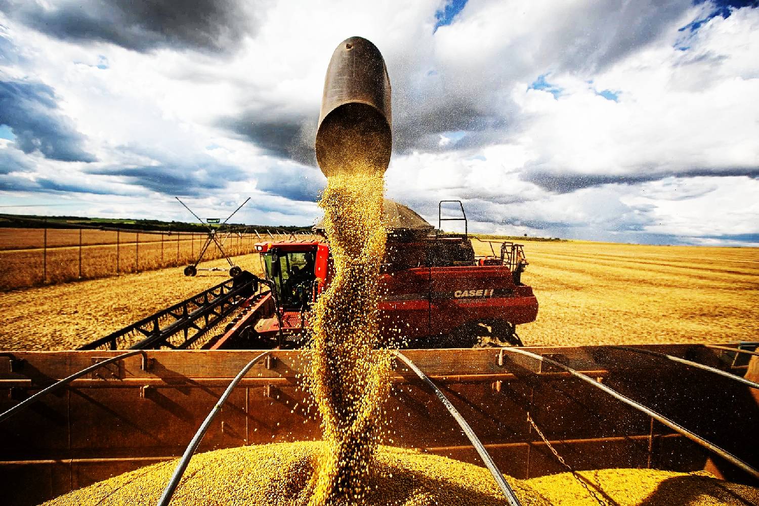 governo-vai-flexibilizar-regra-de-fundo-voltado-a-inovacao-para-liberar-credito-ao-agro
