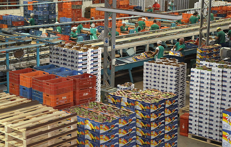 exportacoes-para-a-china-cresceram-24,4%-em-junho-e-21,9%-no-primeiro-semestre-de-2026