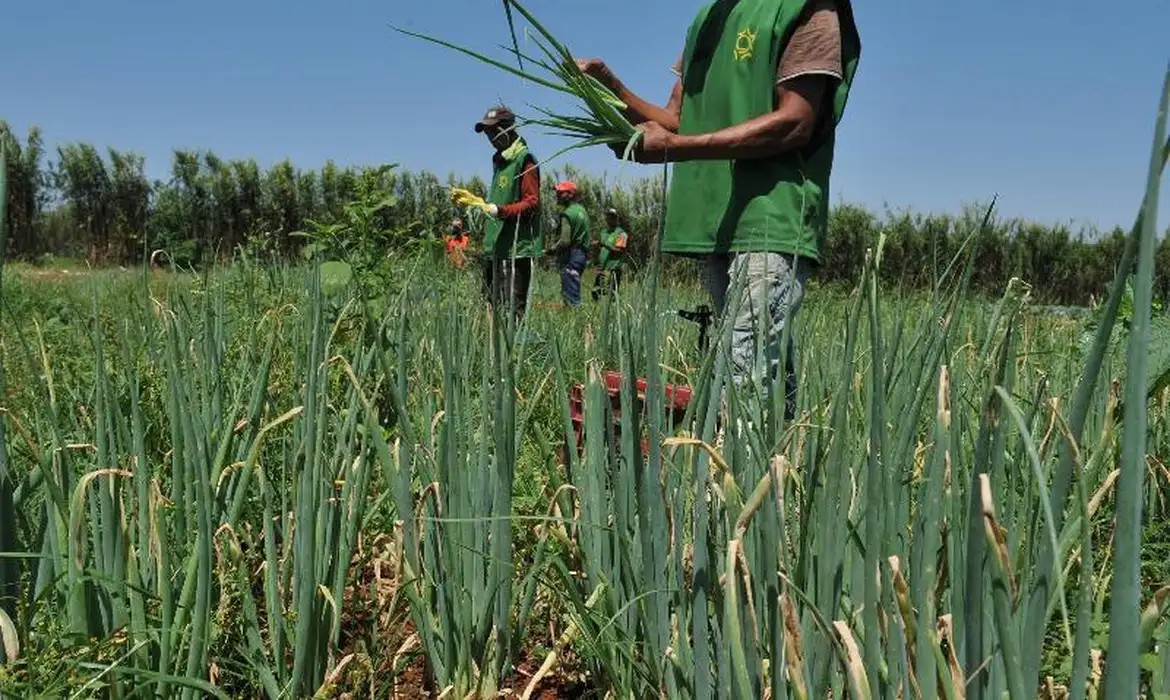 ccj-aprova-regras-especiais-para-produtos-da-agricultura-familiar