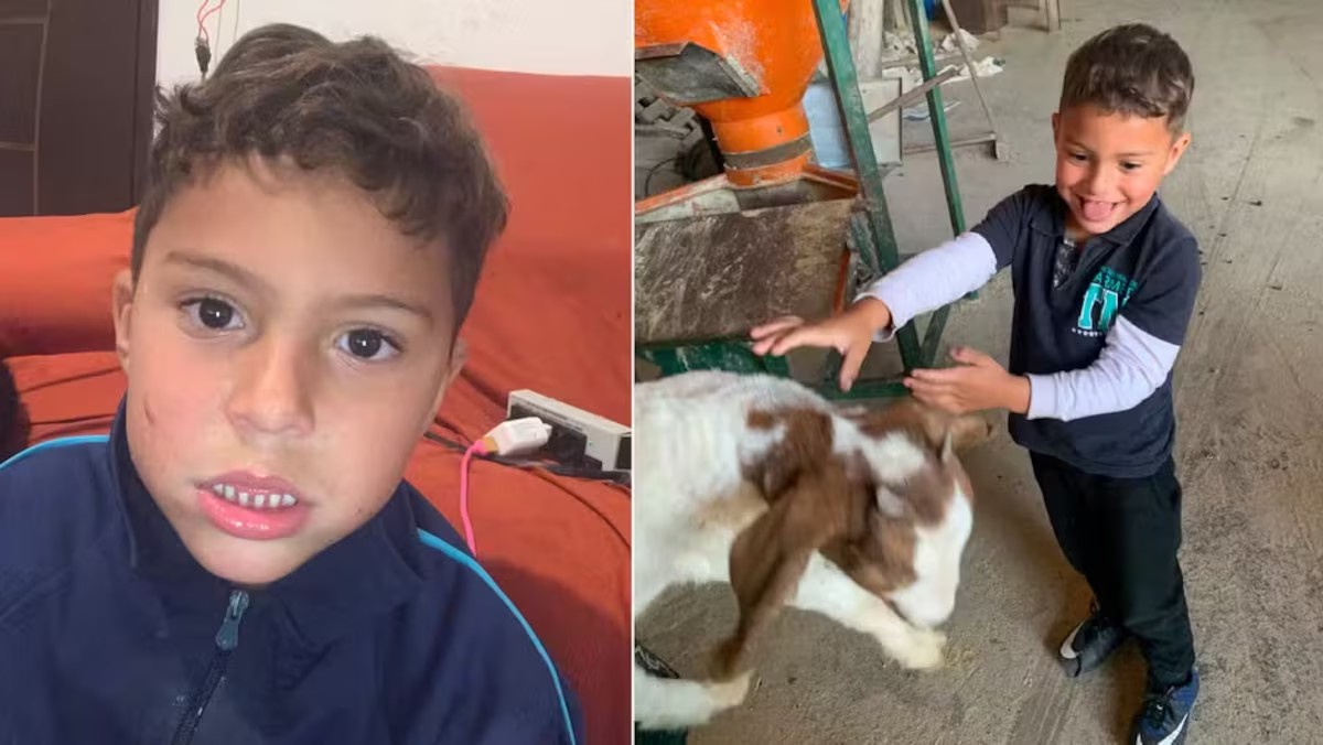 crianca-autista-desaparece-em-area-de-mata-fechada-no-parana;-bombeiros-realizam-buscas