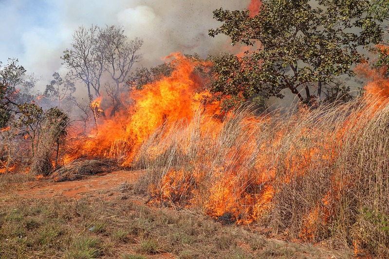 queima-de-lixo-e-vegetacao-e-crime-e-eleva-risco-de-incendios