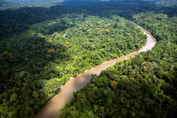 panara-catalogam-especies-em-ti-no-para-e-mato-grosso