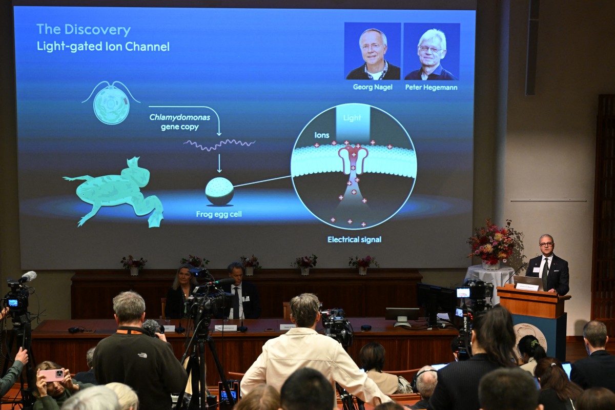 nobel-de-medicina-de-2026-premia-os-avancos-da-optogenetica
