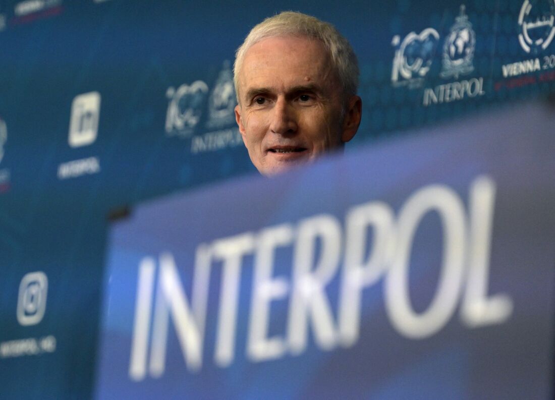 interpol-apreende-mais-de-1.000-animais-traficados-ilegalmente-na-america-latina