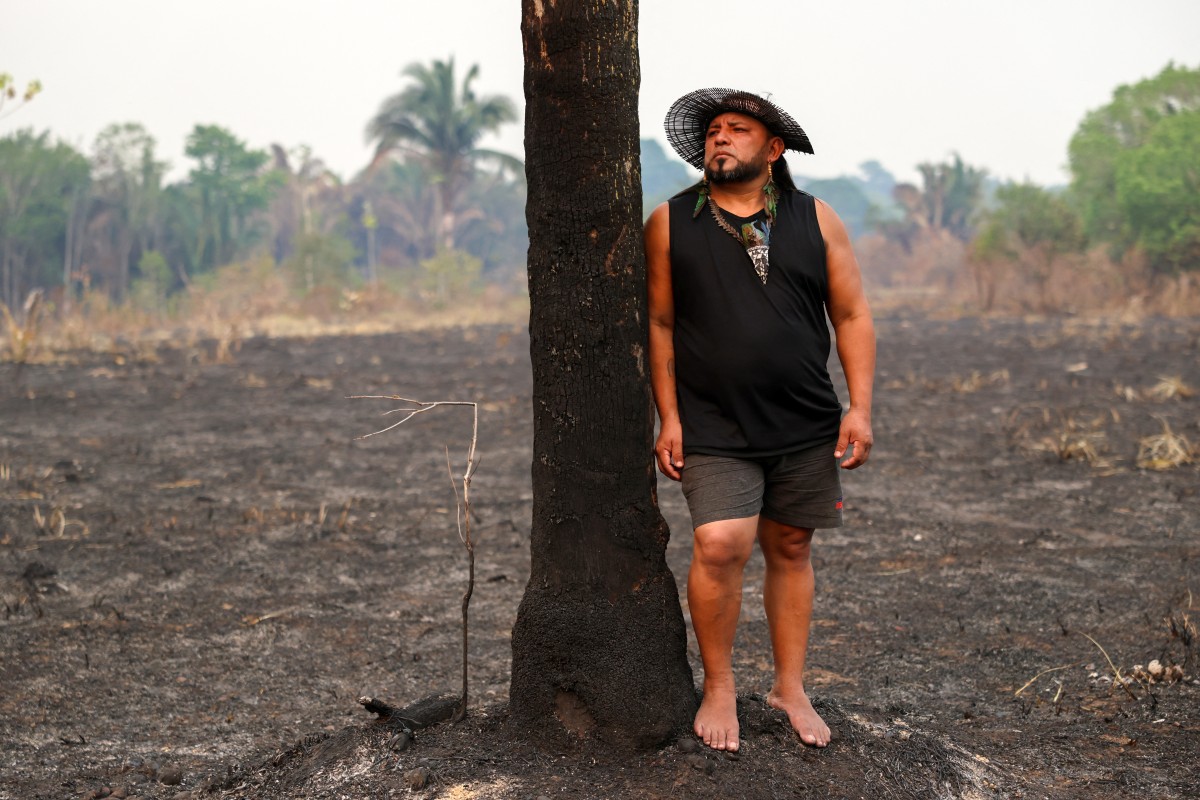 avanco-de-flavio-bolsonaro-preocupa-guardioes-da-amazonia