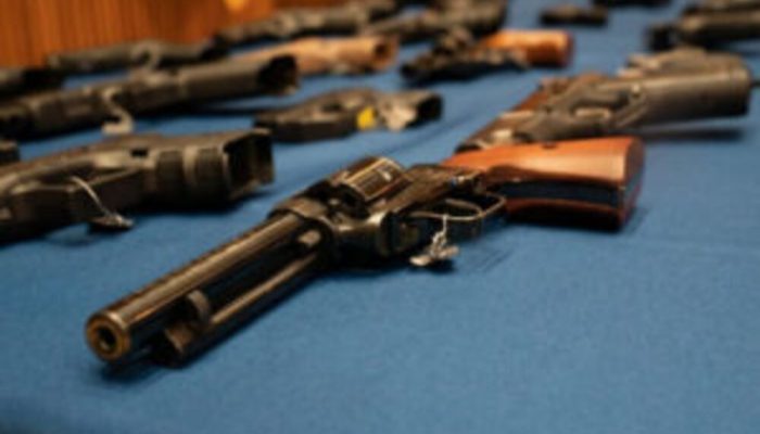 comissao-de-seguranca-da-camara-aprova-projeto-que-permite-uso-de-fgts-para-comprar-arma