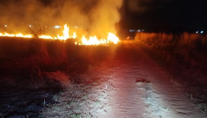 bombeiros-combatem-incendios-em-caldas-novas-e-evitam-perdas-em-jatai